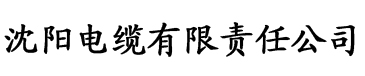 香蕉视频下载污污污电缆厂logo